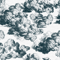 Blanche  Pattern - Winter Colourway